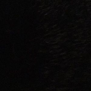 Meet your Posher, Isabella